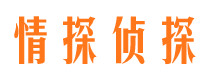 天镇外遇出轨调查取证